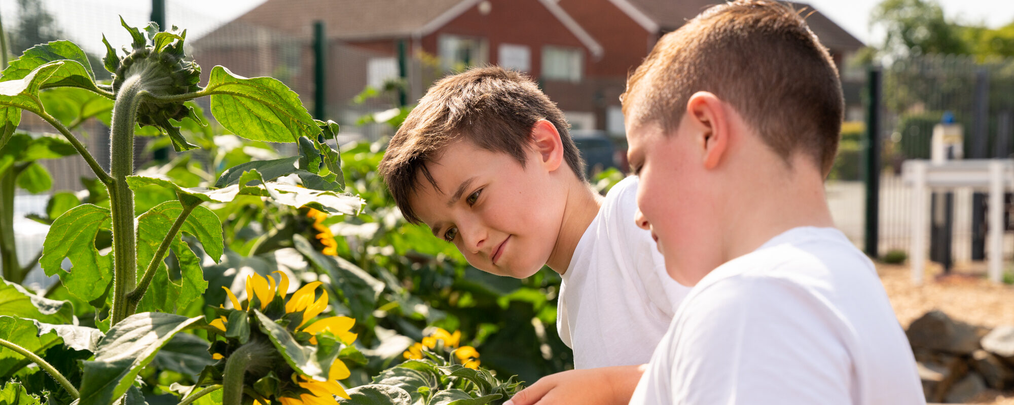 Community Connection | Marches Academy Trust